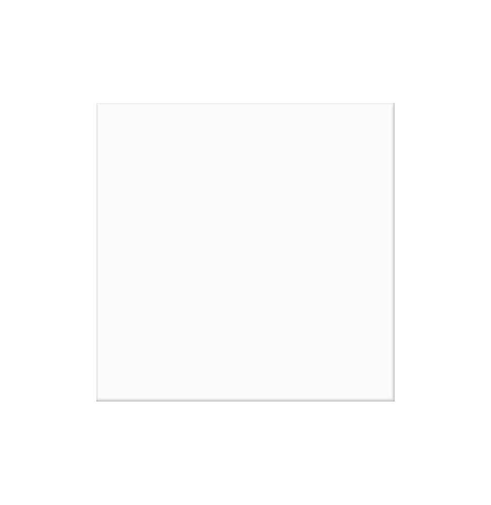 PISO FORMIGRES Branco 61 61cmX61cm Caixa com 2,23m²